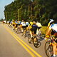 Peleton on Jenk Road